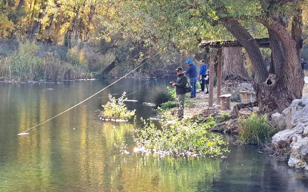 Cuando el turismo toca el alma: experiencias culturales y gastronómicas con propósito