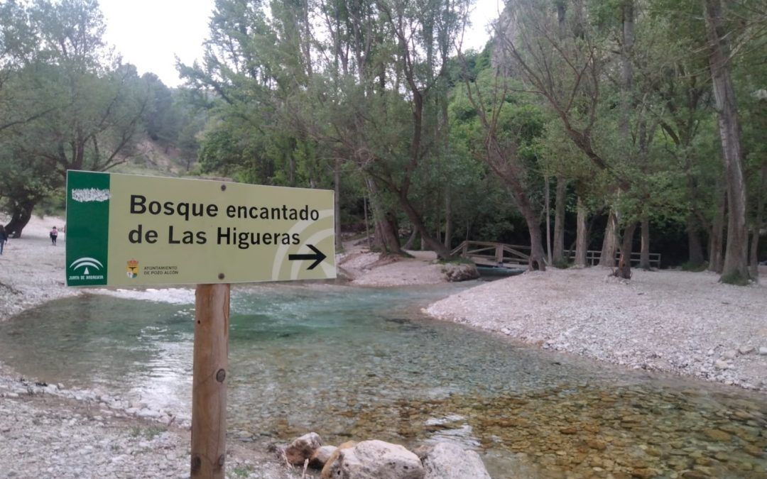 El Bosque De Las Higueras En Pozo Alcón Jaen